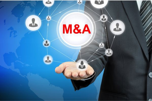 עורך דין מיזוגים ורכישות - רן חלוץ